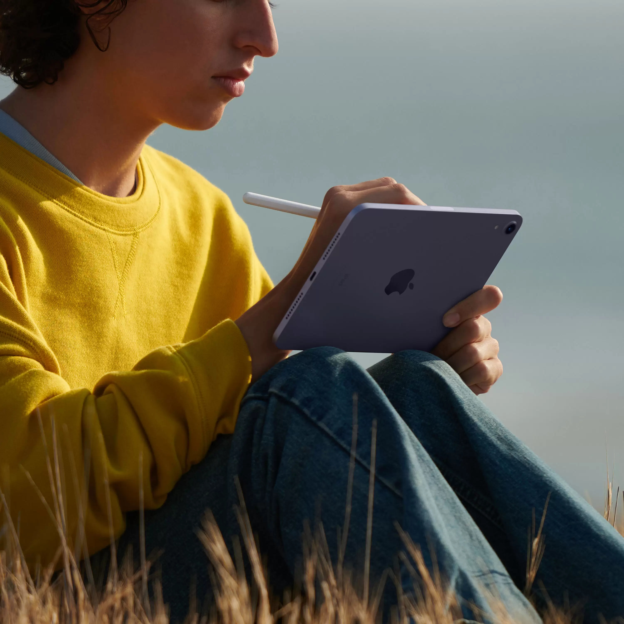 Apple iPad mini (2021) Wi-Fi 64 ГБ, розовый